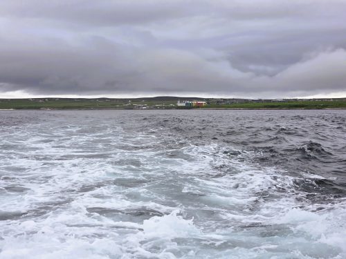 Stroma 260626