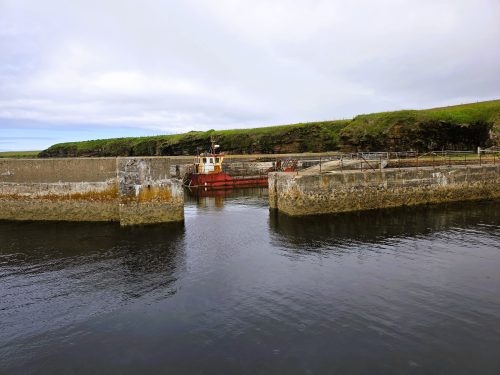 Stroma 260626