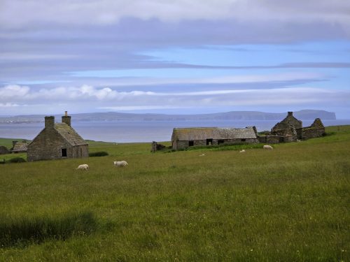 Stroma 260626