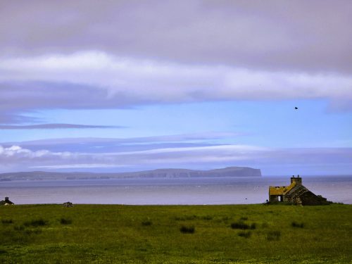 Stroma 260626