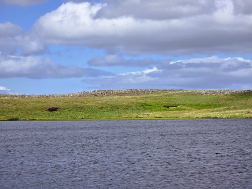 Forsinain 290626