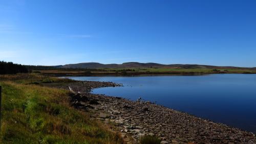Ben-Dorries-Walk-3