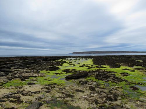 Castletown-Dunnet-Bay-and-Thurso-walk-30