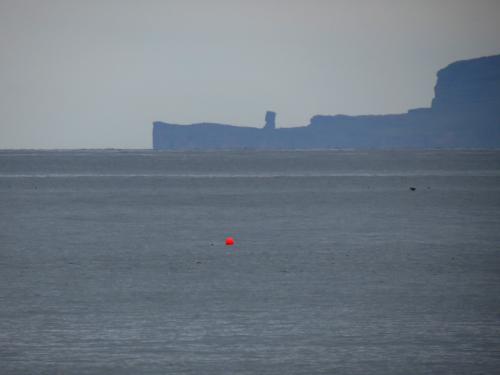 Castletown-Dunnet-Bay-and-Thurso-walk-33