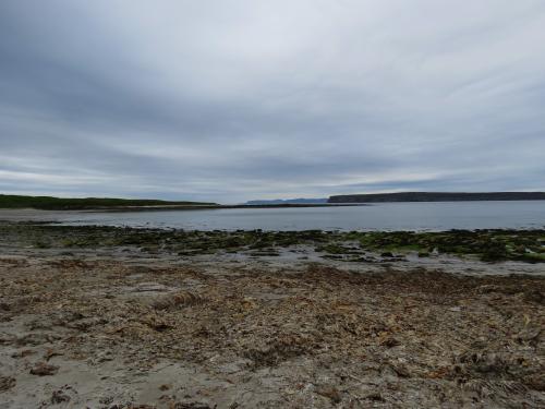 Castletown-Dunnet-Bay-and-Thurso-walk-34