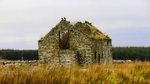 Halirk-to-Dale-Mill-17