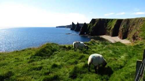 John-OGroats-21
