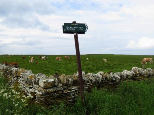 Thurso-to-Clardon-Haven-Loop-29