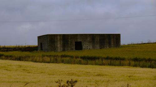 Wick-10